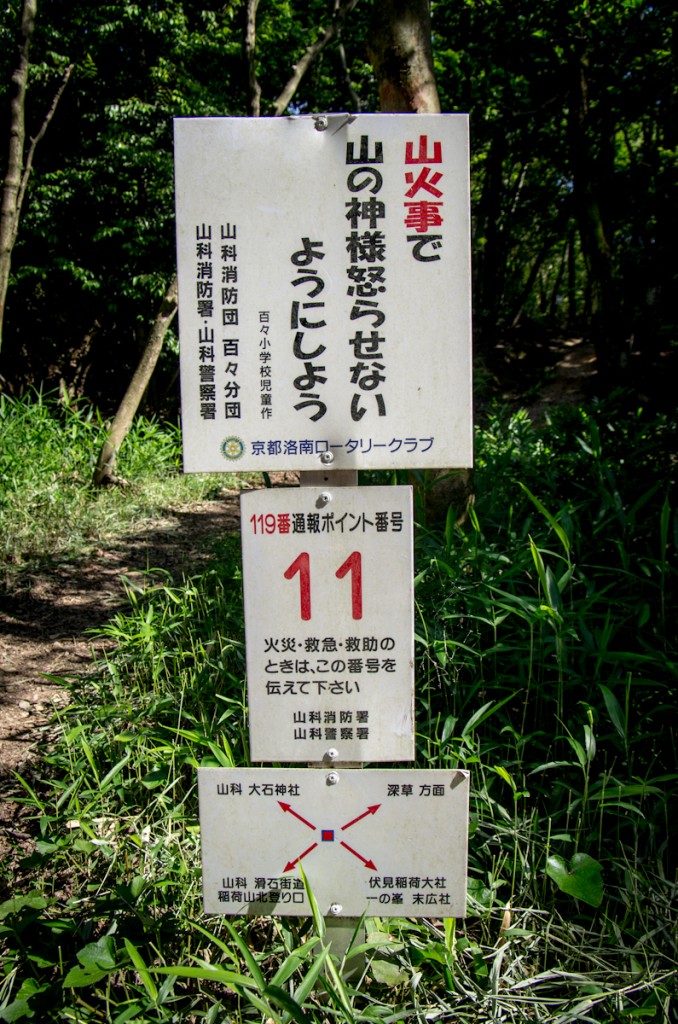IMGP0920