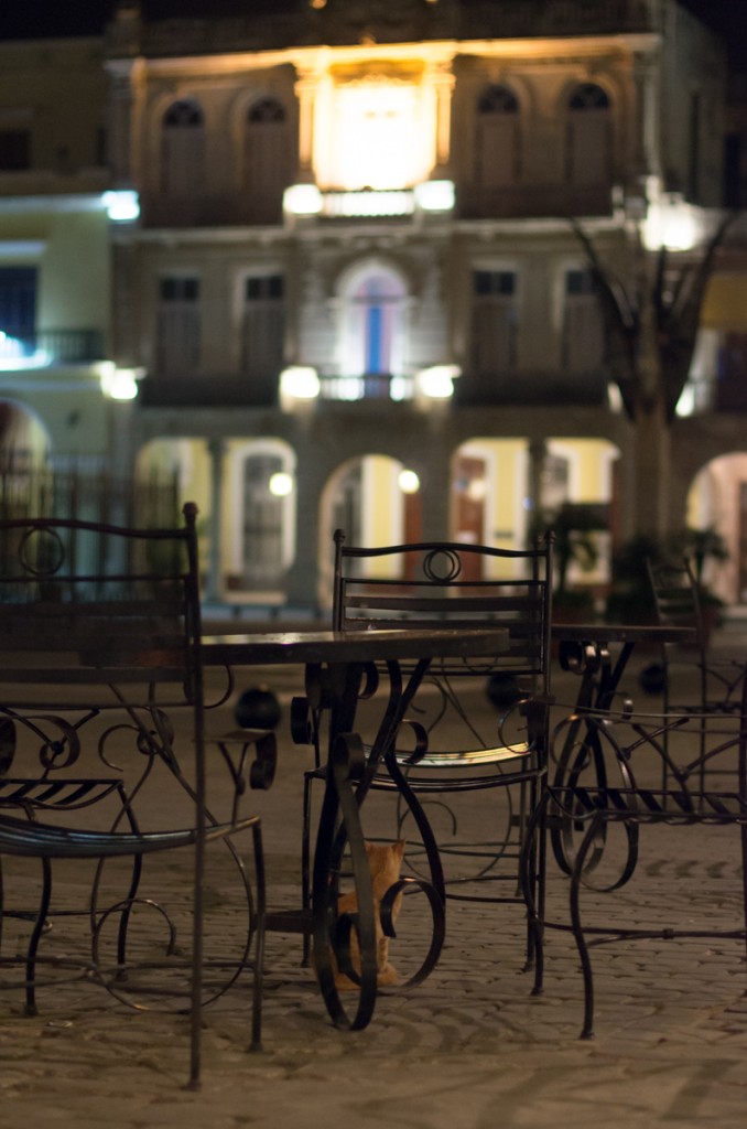001-24032014-IMGP9709