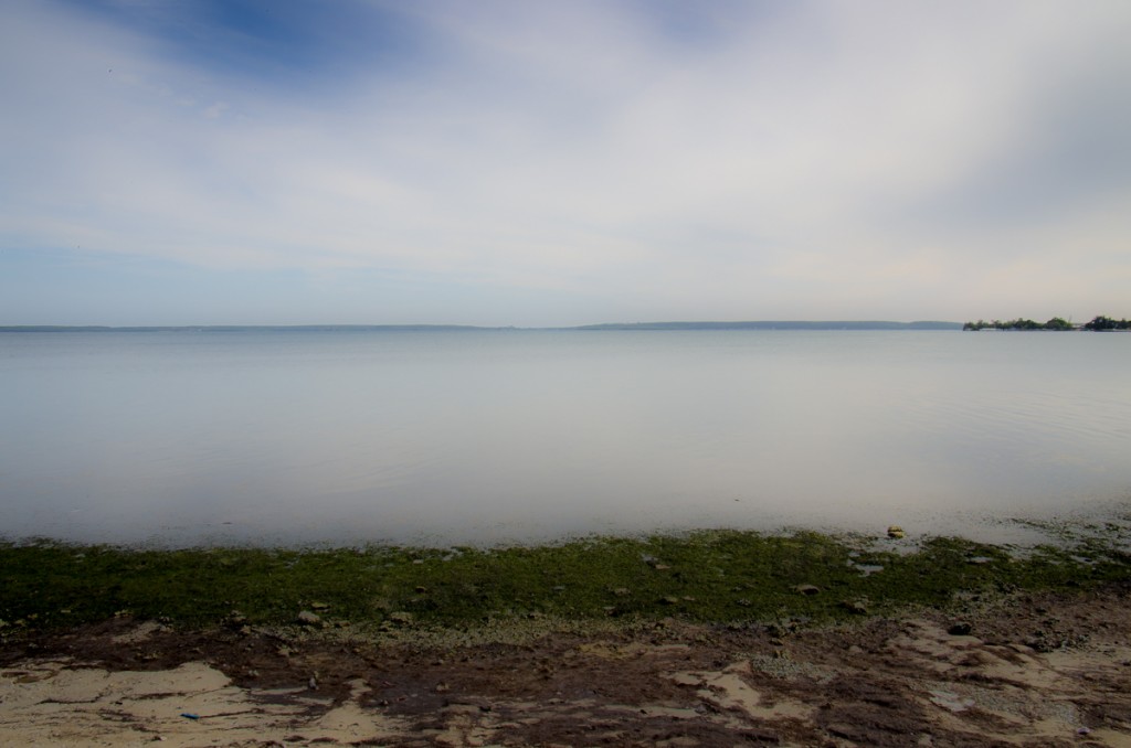 001-31032014-IMGP0559
