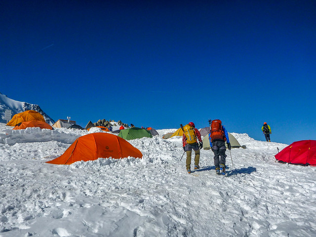 P1010068.jpg